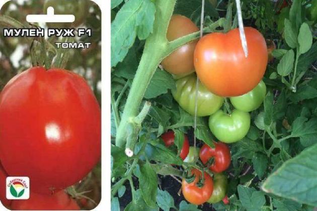 Томат Мулен Руж 3