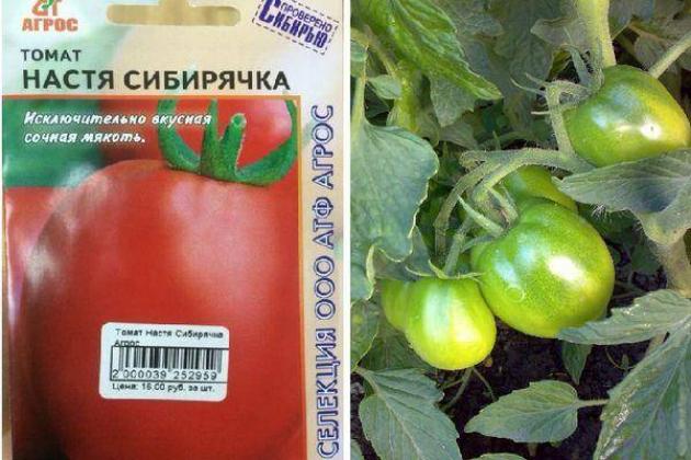Томат Настя сибирячка