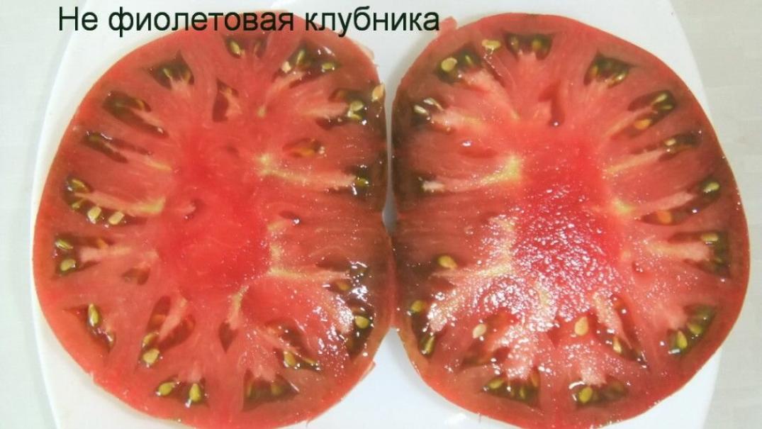 Томат Не фиолетовая клубника 2