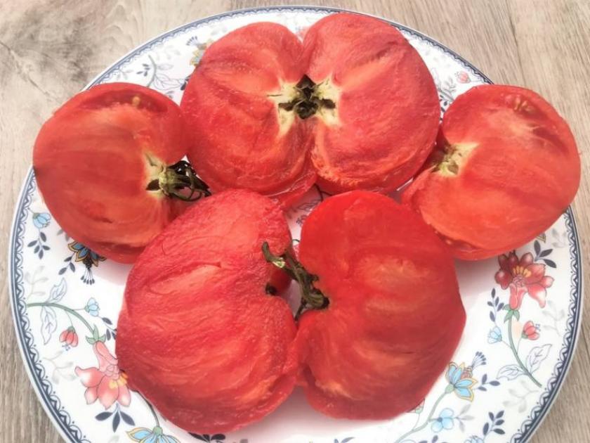 Томат Немецкий розовый Йодера 2