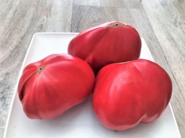 Томат Немецкий розовый Йодера