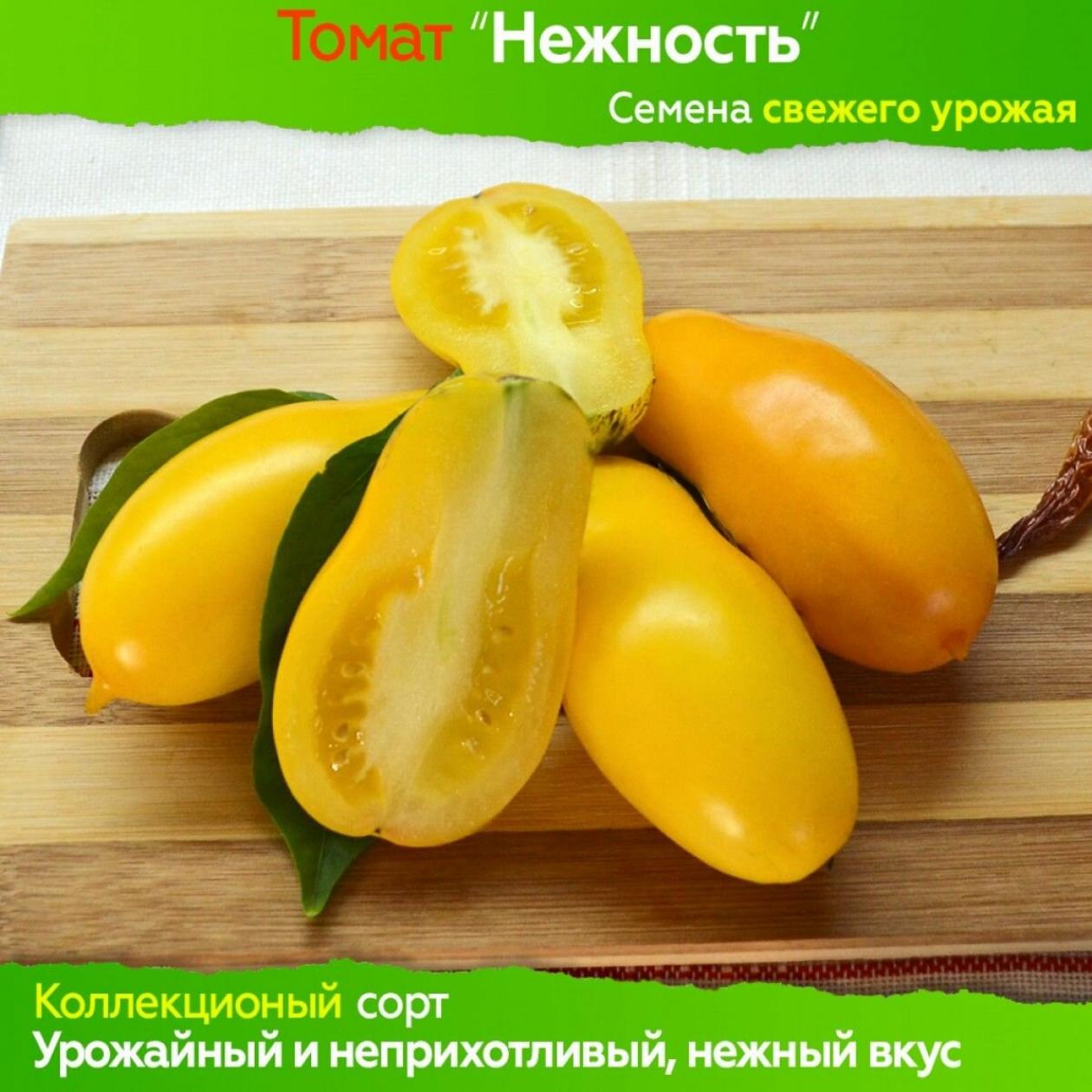 Томат Нежность 2