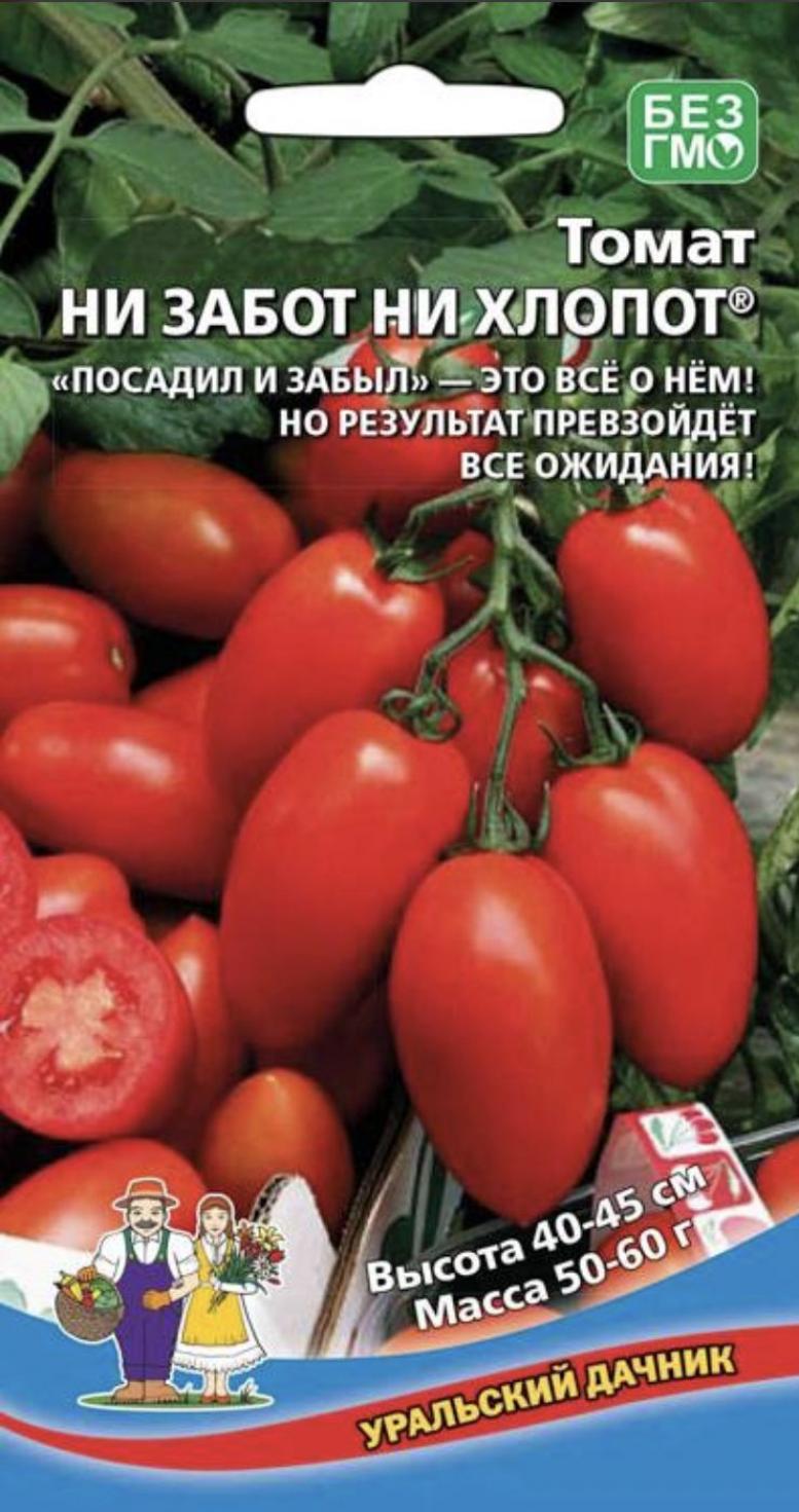 Томат Ни забот ни хлопот