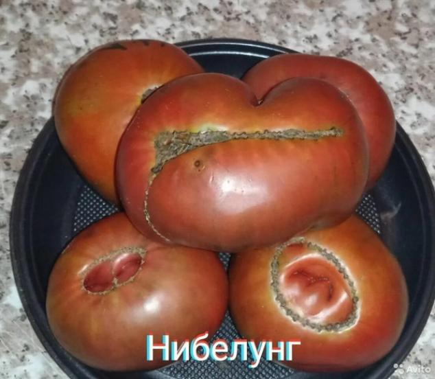Томат Нибелунг 2