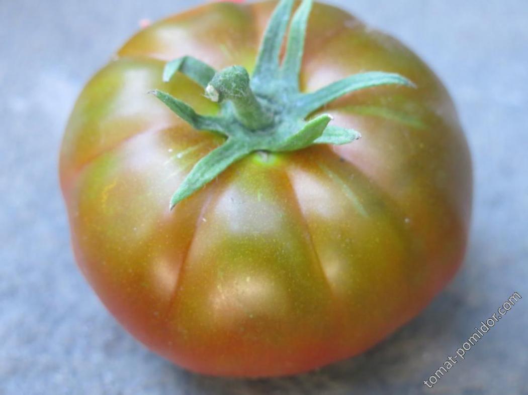 Томат Нибелунг 5