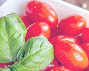 Томат Новогодние свечи