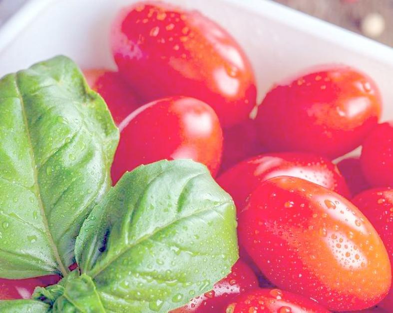 Томат Новогодние свечи