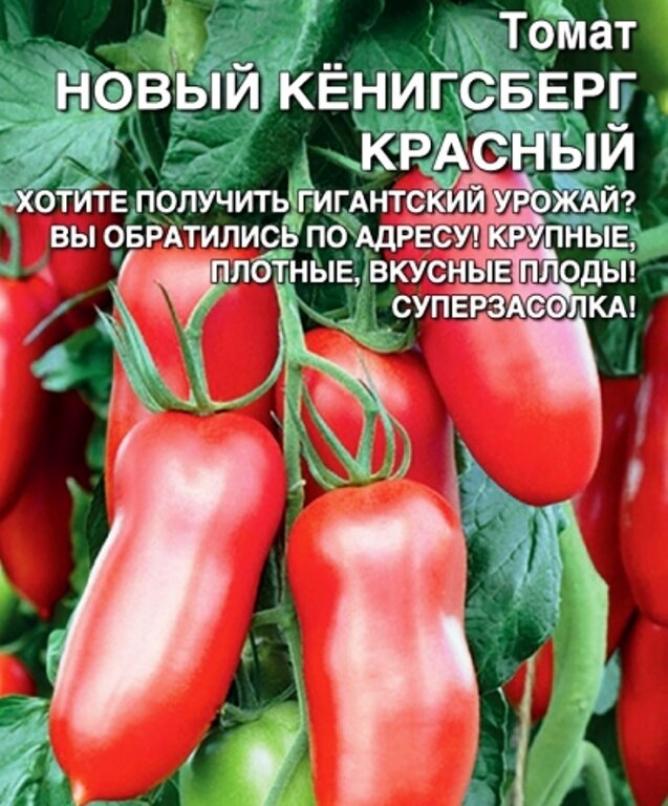 Томат Новый Кенигсберг красный