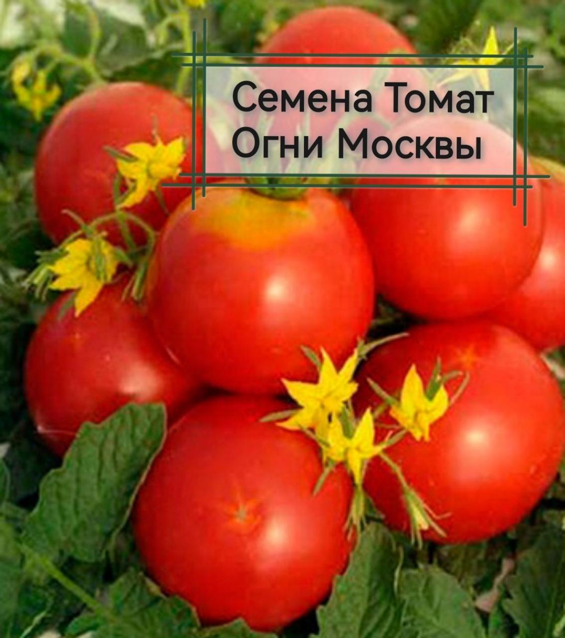 Томат Огни Москвы
