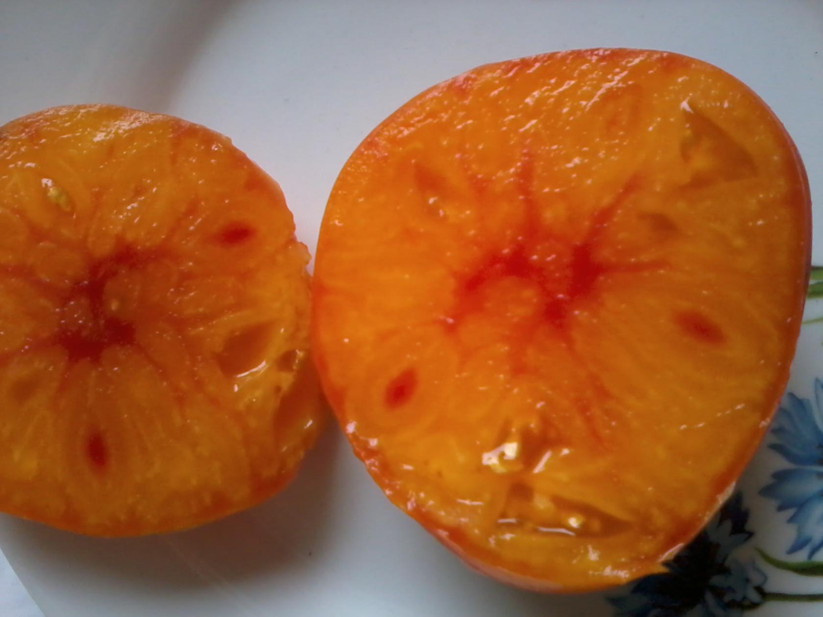 Томат Олимпийский огонь 4