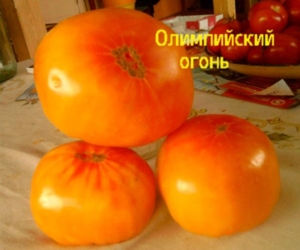Томат Олимпийский огонь