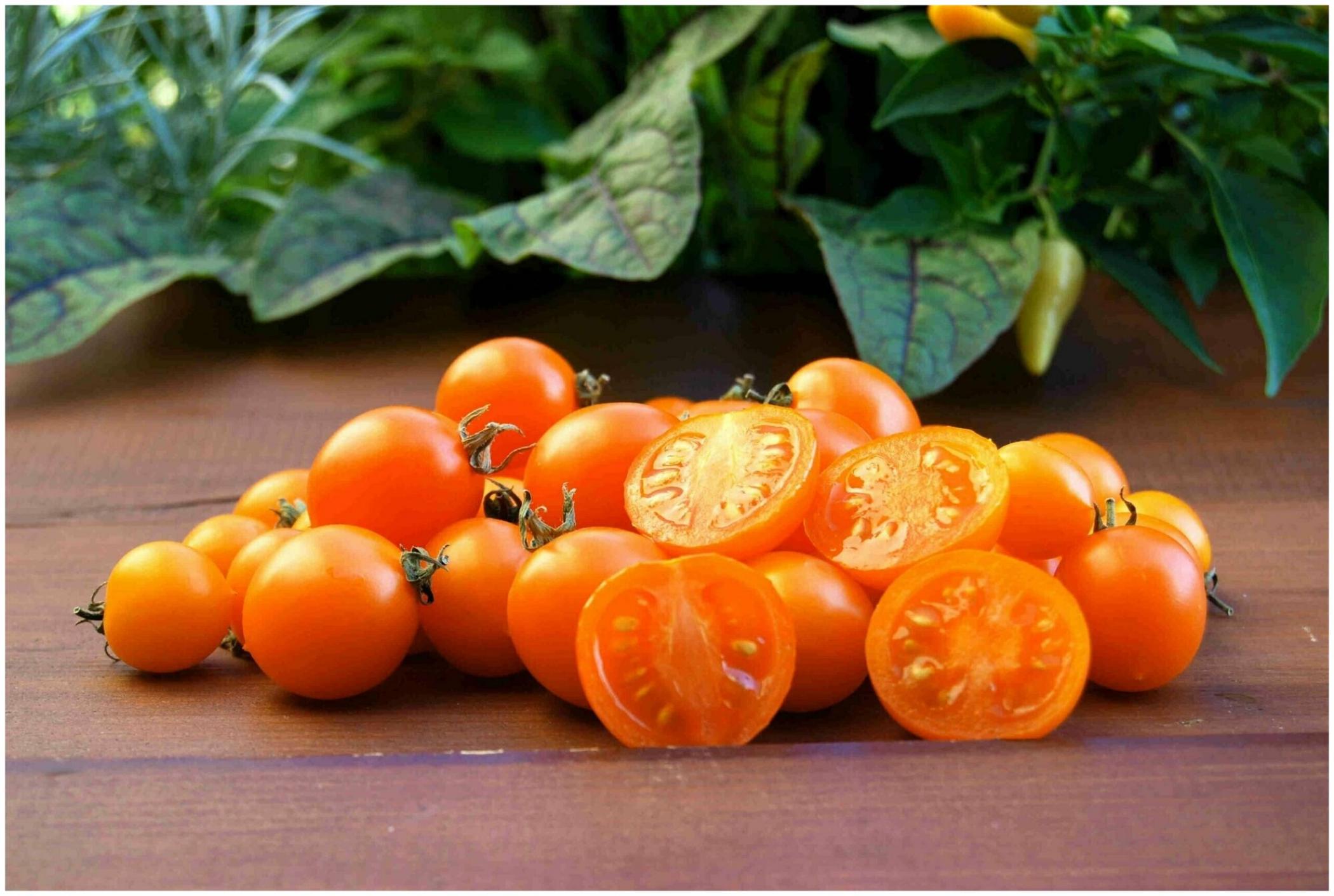 Томат Оранжевая ягода 2