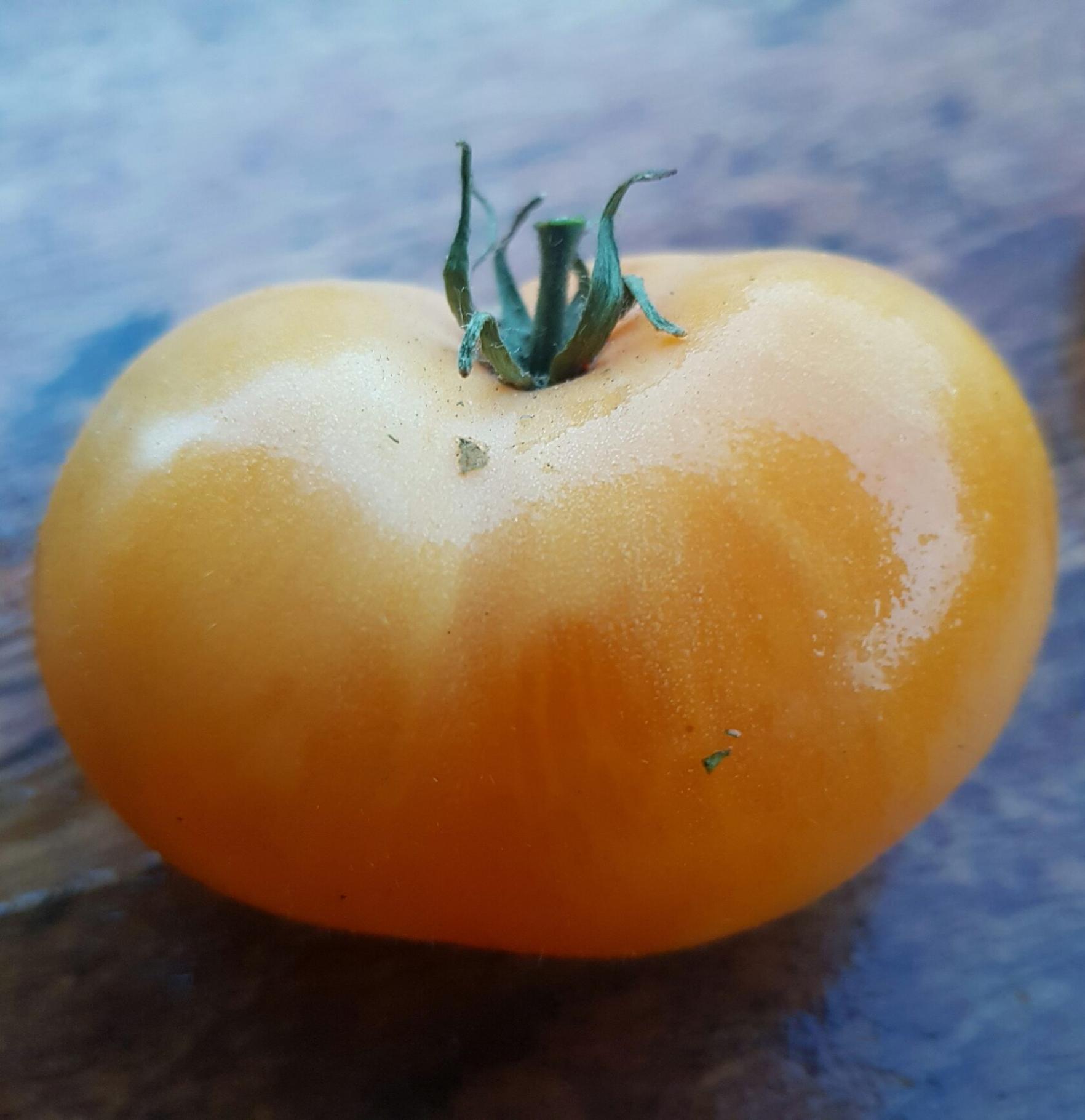 Томат Оранжевый крем 3