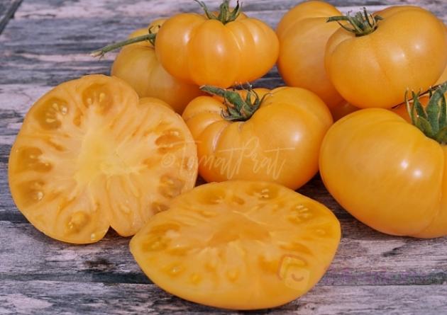 Томат Оранжевый крем 5