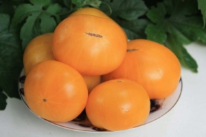 Томат Оранжевый крем