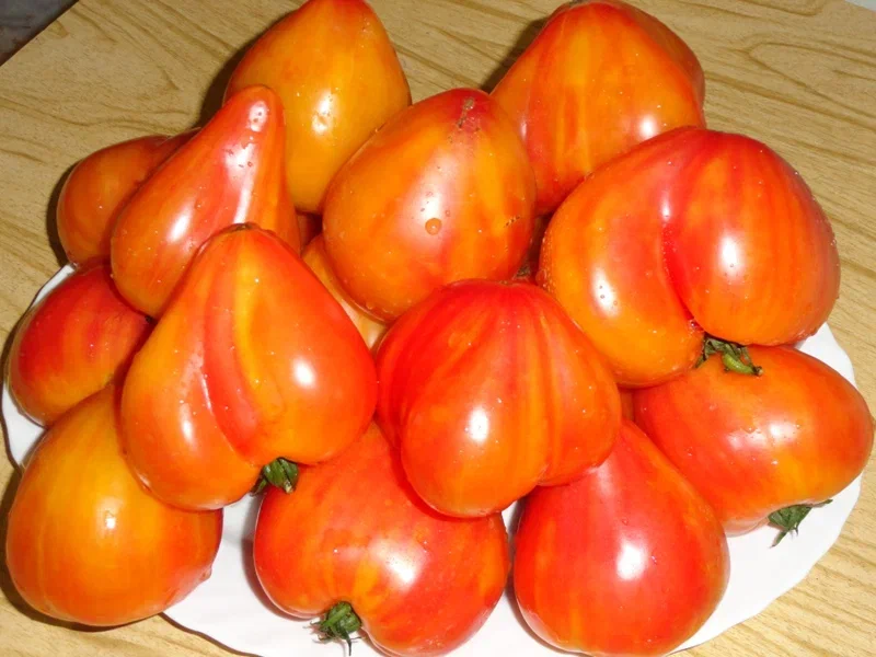 Томат Оранжевый русский 117 4