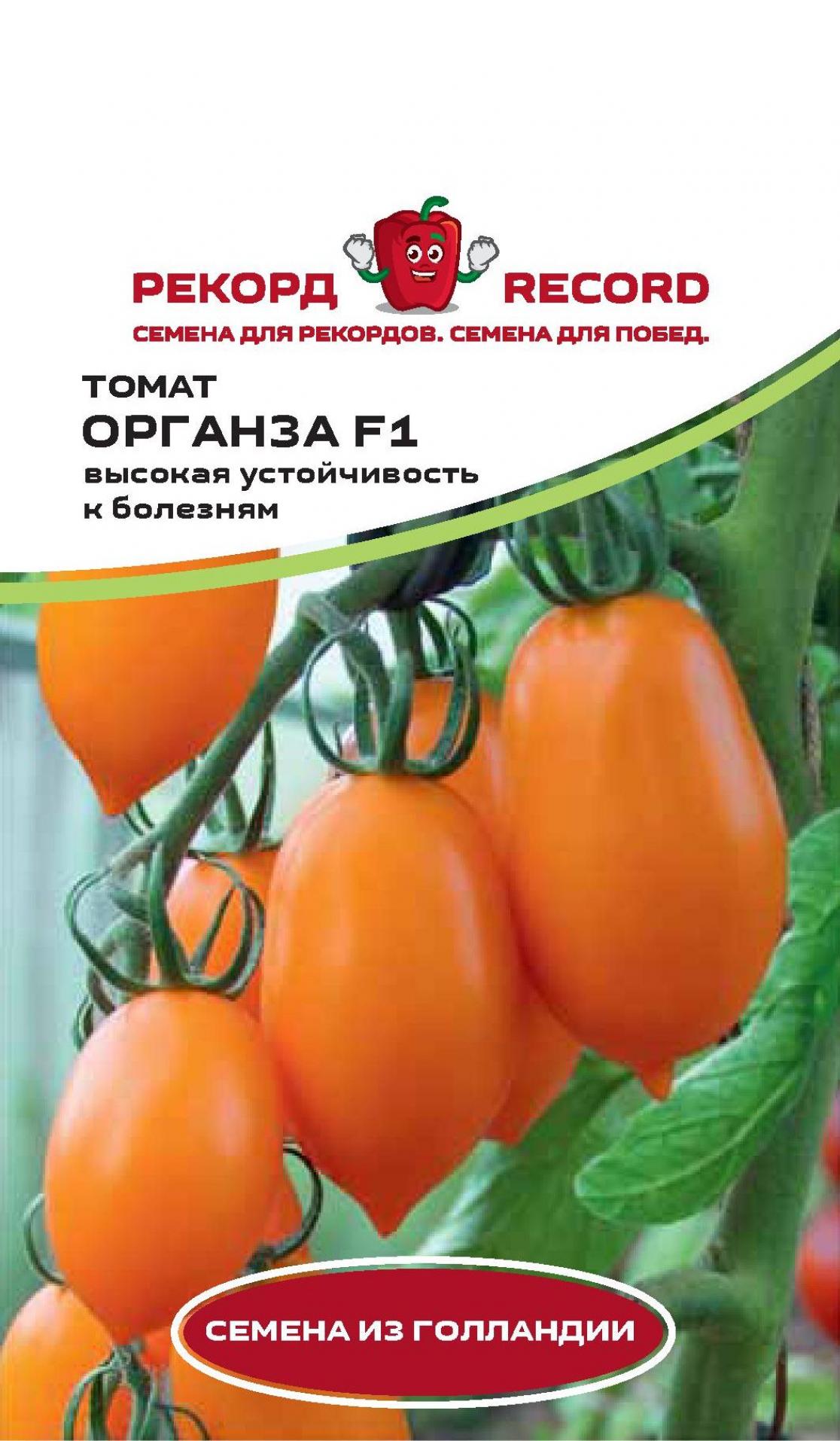 Томат Органза 4