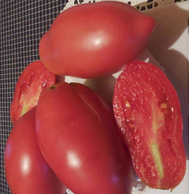 Томат Ослиные уши розовые 2