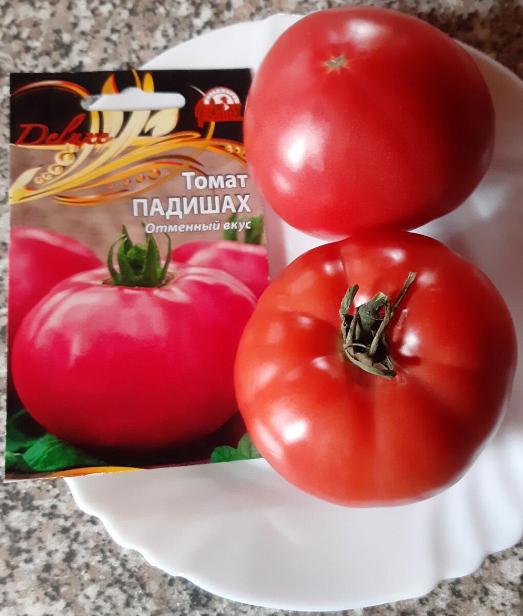 Томат Падишах 2