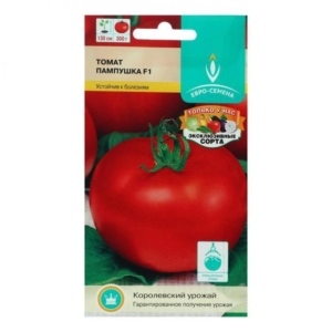 Томат Пампушка