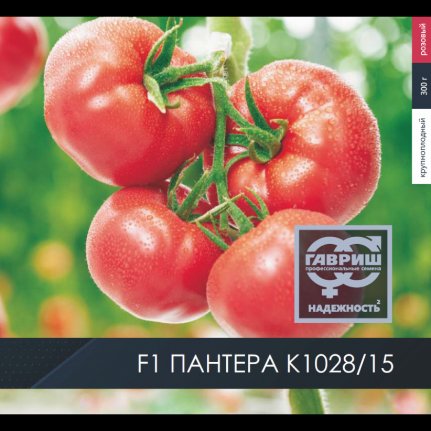 Томат Пантера 3