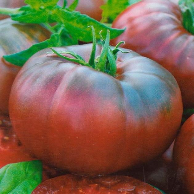 Томат Папино угощение 2