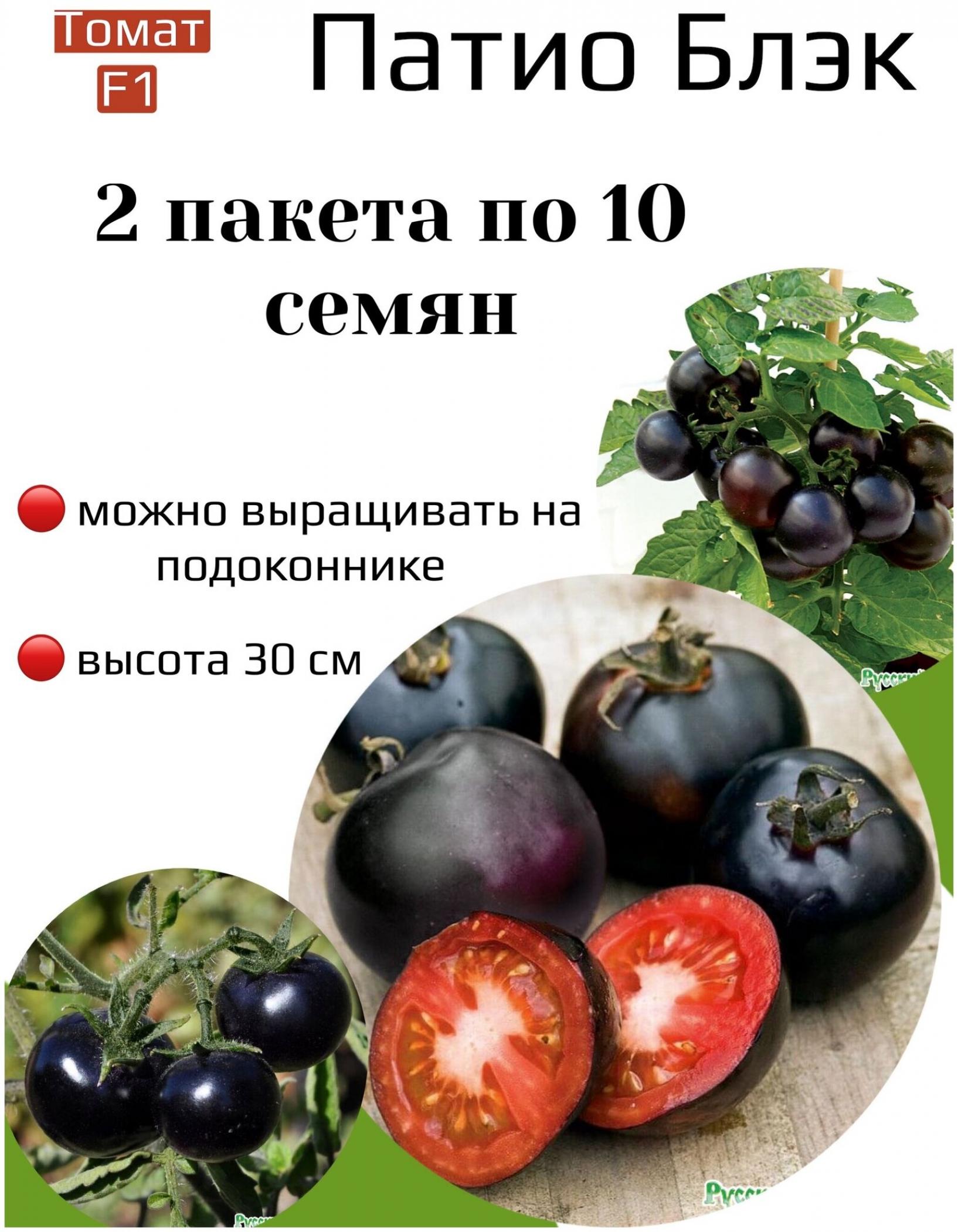 Томат Патио Блэк 3