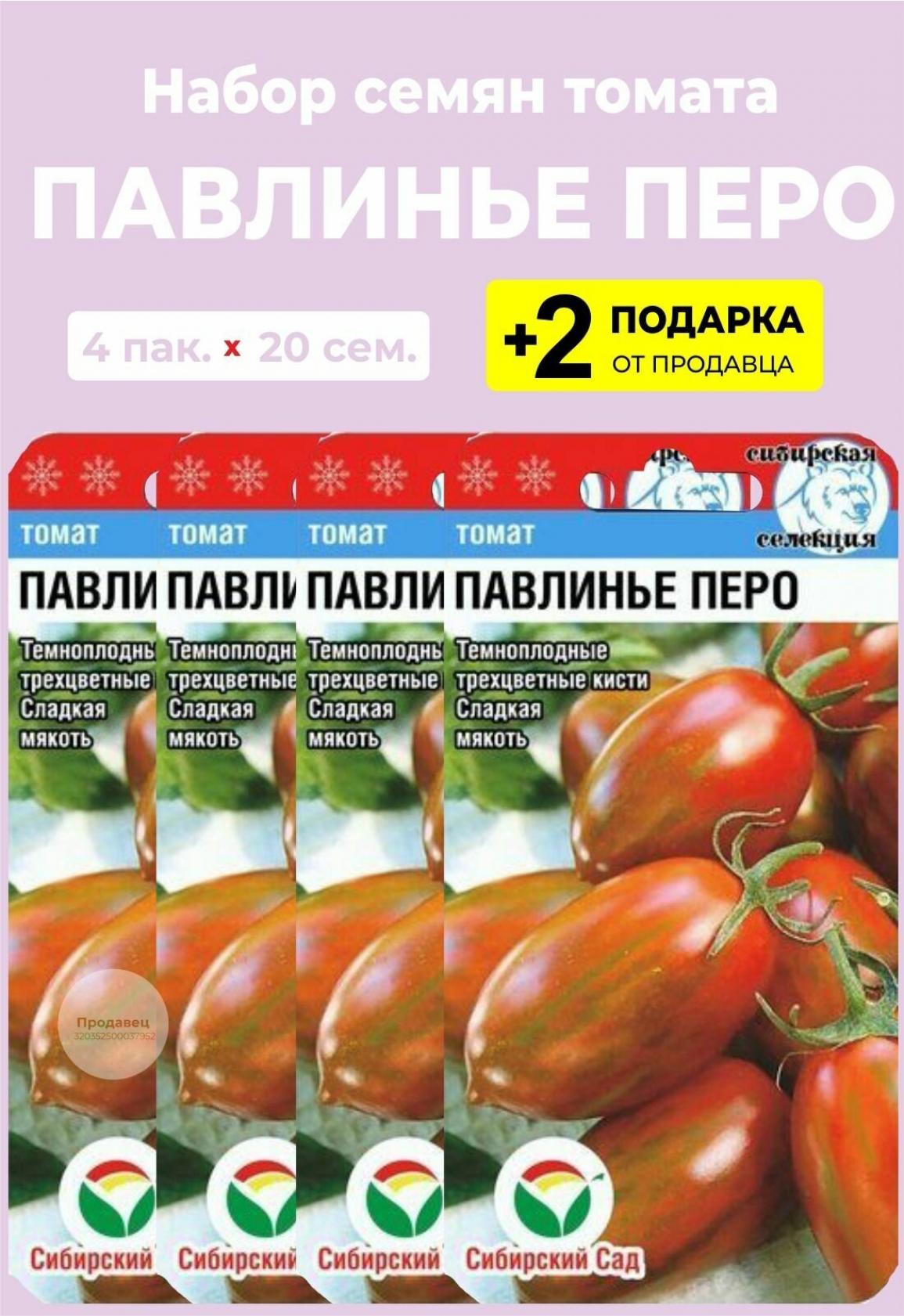 Томат Павлинье перо 2