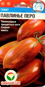 Томат Павлинье перо