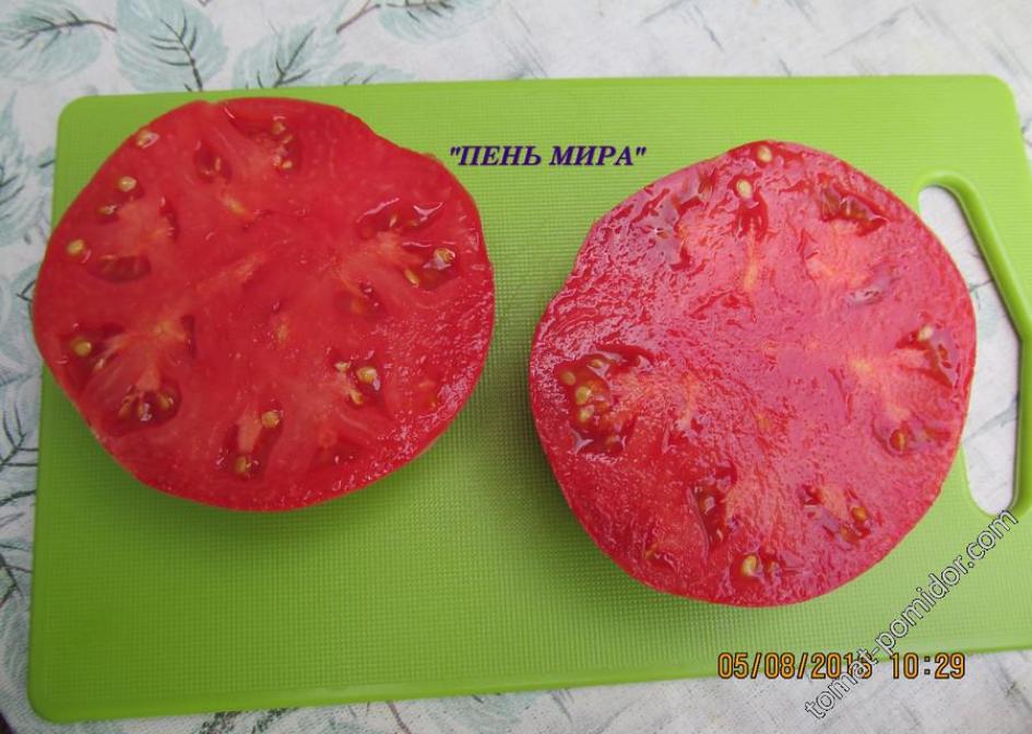 Томат Пень Мира 2