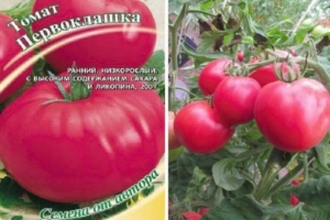 Томат Первоклашка