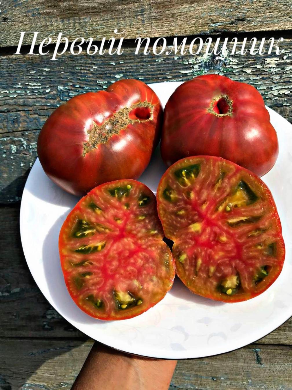 Томат Первый помощник 3