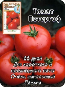 Томат Петергоф