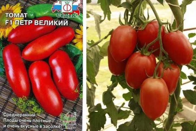 Томат Петр Великий 2