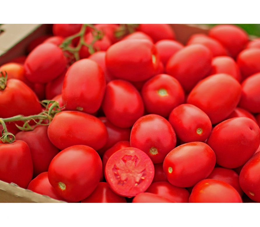 Томат Пьетра Росса 3
