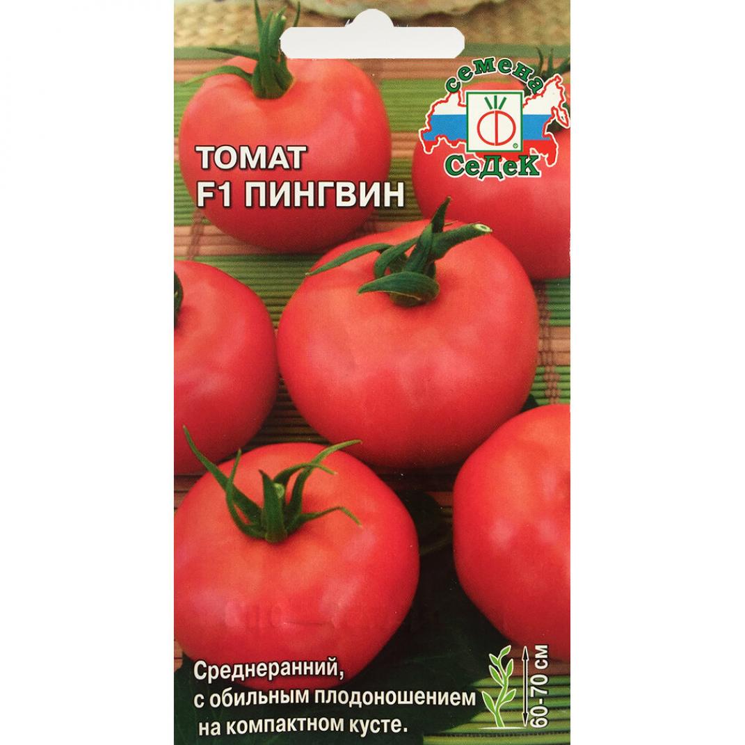 Томат Пингвин