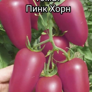 Томат Пинк Хорн
