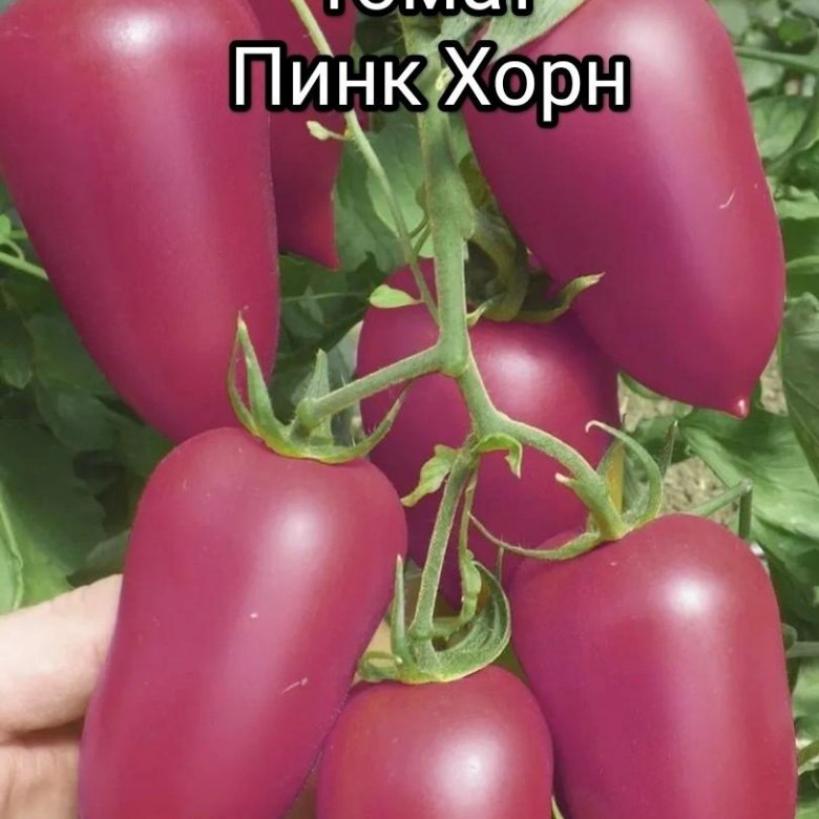 Томат Пинк Хорн