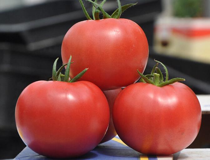 Томат Пинк Клер