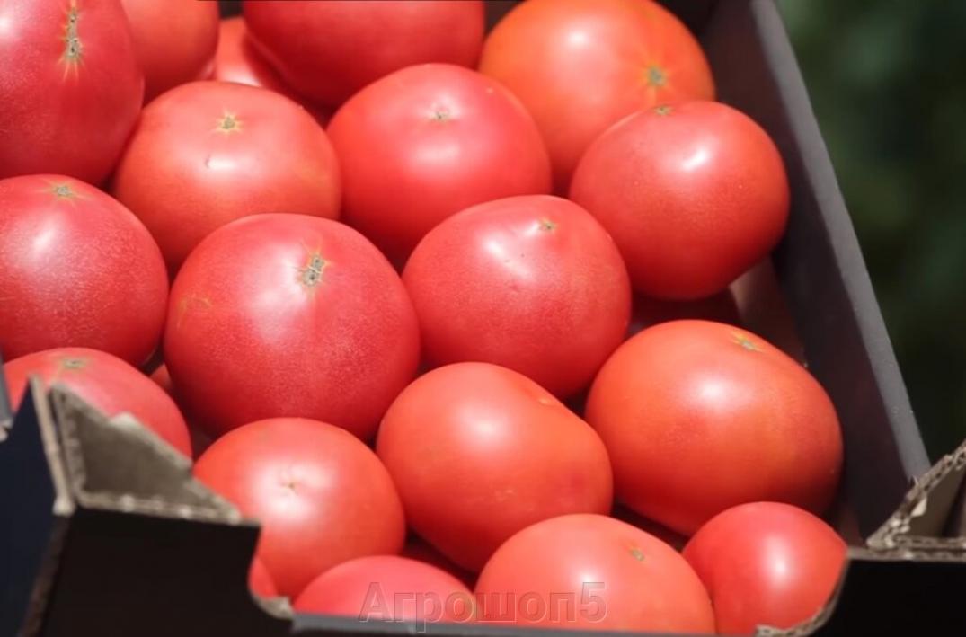 Томат Пинк Кристалл 2