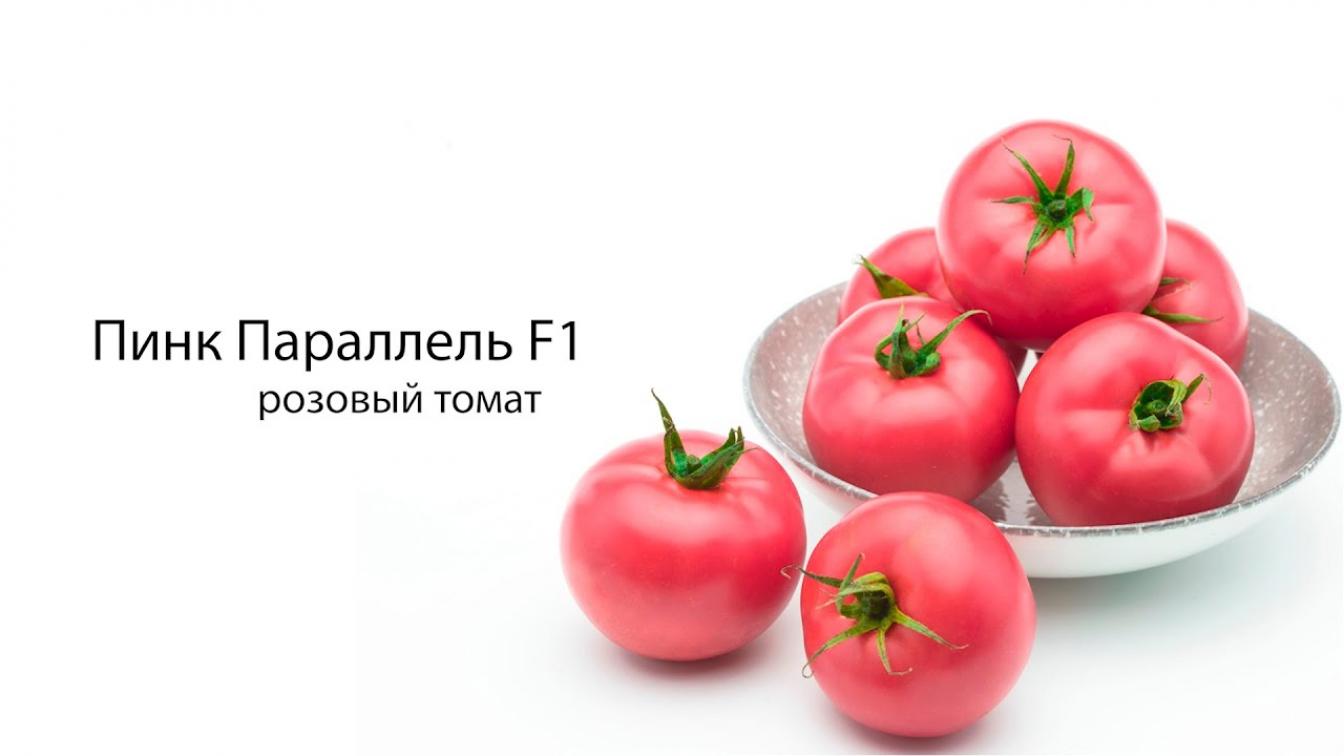 Томат Пинк Параллель 2
