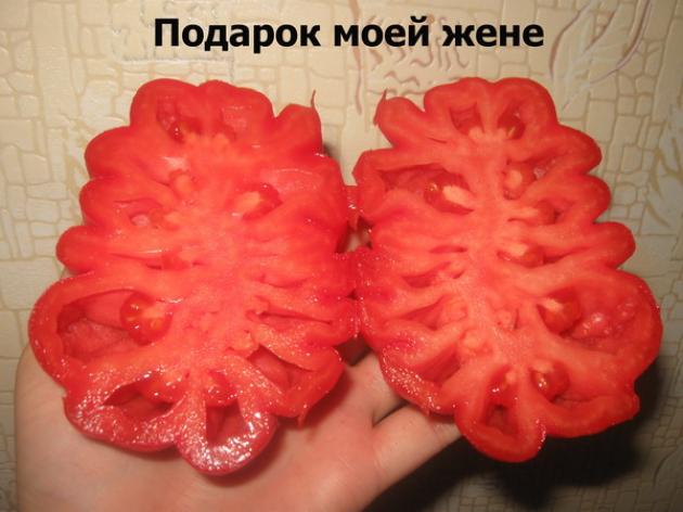 Томат Подарок моей жене 2