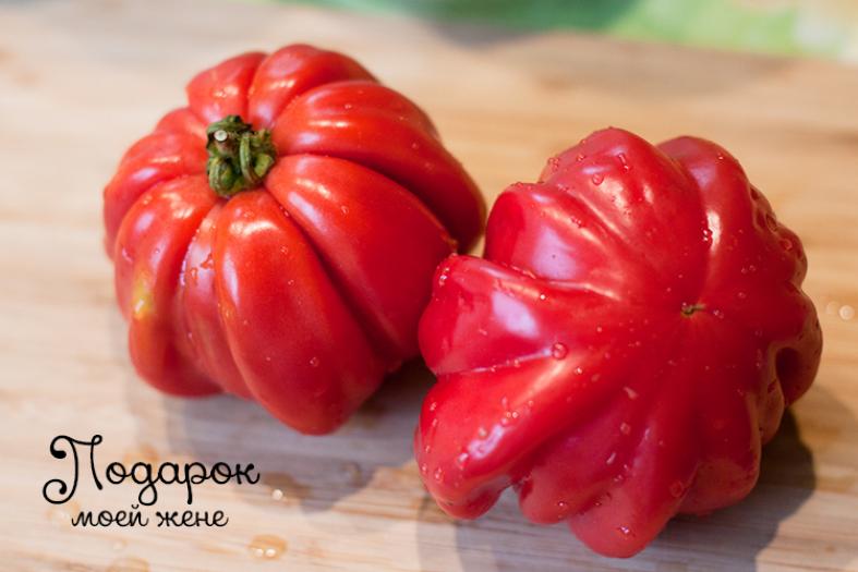 Томат Подарок моей жене 4