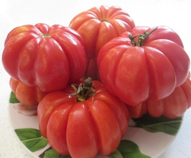 Томат Подарок моей жене 5