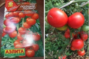 Томат Полным полно