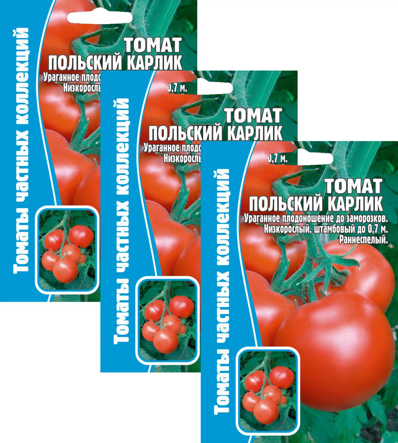 Томат Польский Карлик 2