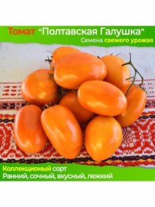 Томат Полтавская галушка