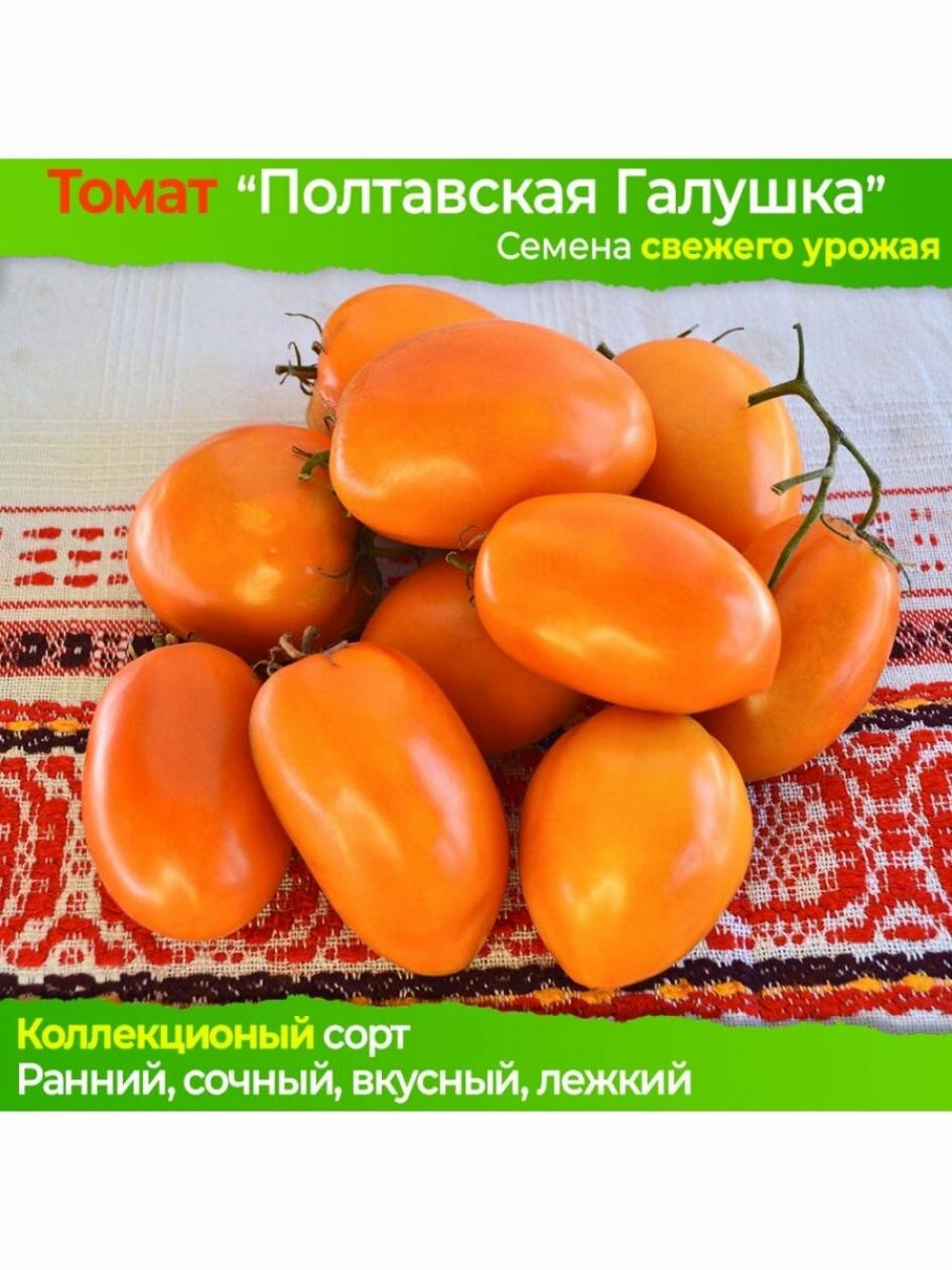 Томат Полтавская галушка
