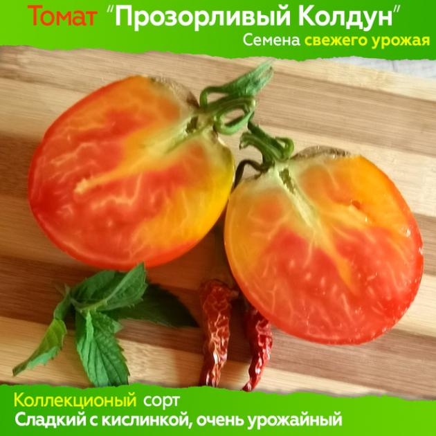 Томат Прозорливый Колдун