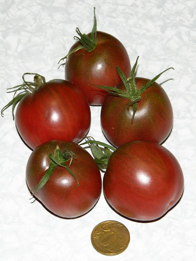 Томат Псамафа 3